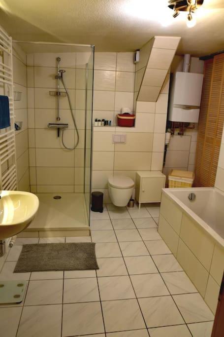 Central Apartment Magdeburg Zewnętrze zdjęcie